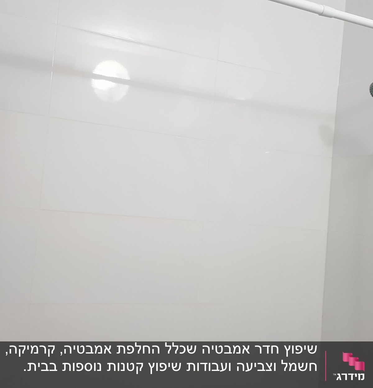 וילון פרפרים במקלחת עם ראש מקלחת